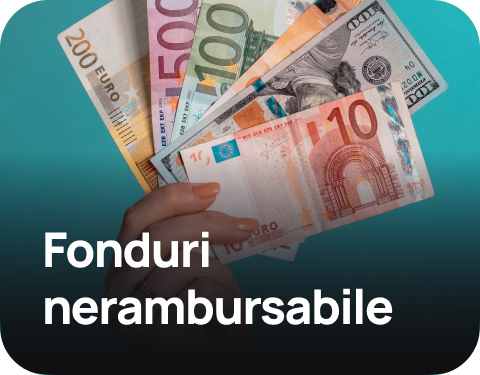 Fonduri Nerambursabile